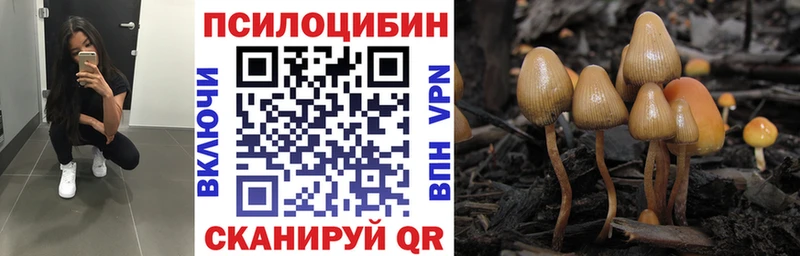 где купить Березники ОМГ ОМГ сайт Псилоцибиновые грибы MAGIC MUSHROOMS